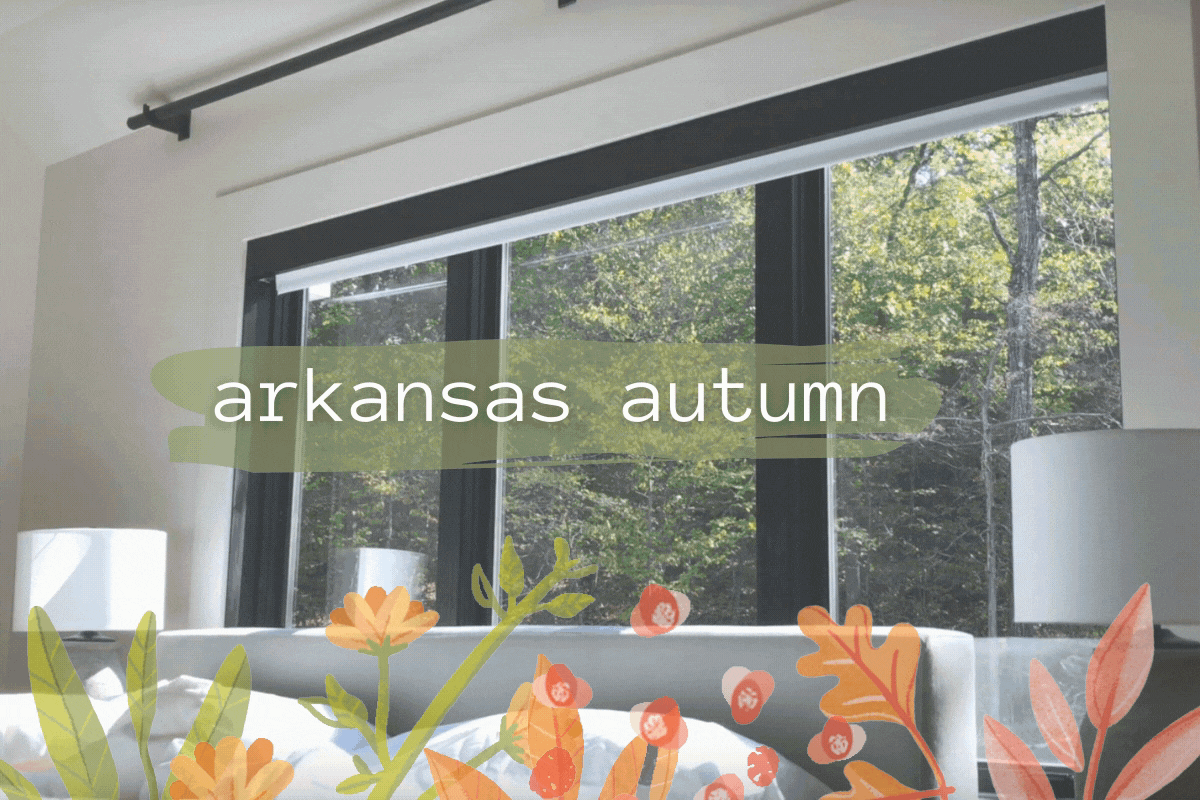 Arkansas Autumn